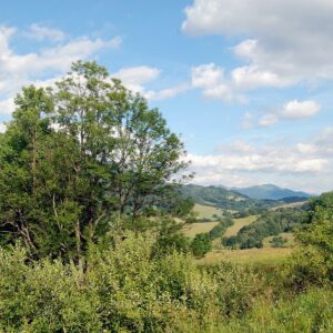 31. Bieszczady3