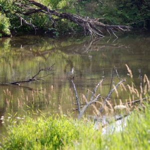 32. Bieszczady5